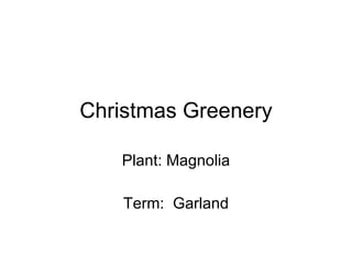 Christmas Greenery Plant: Magnolia Term:  Garland 
