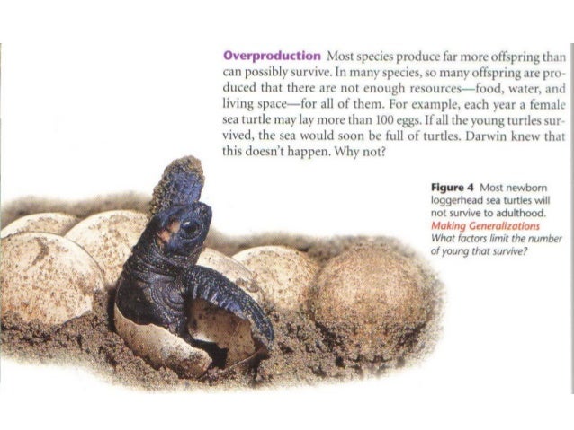 5.03 natural selection