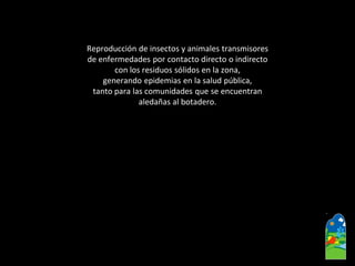 Reproducción de insectos y animales transmisores 
de enfermedades por contacto directo o indirecto 
con los residuos sólidos en la zona, 
generando epidemias en la salud pública, 
tanto para las comunidades que se encuentran 
aledañas al botadero.  