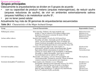 Grupos principales
Grupos principales
Clásicamente la arqueobacterias se dividen en 5 grupos de acuerdo
•   con su capacidad de producir metano (arqueas metanogénicas), de reducir azufre
   (arqueas reductoras de azufre), de vivir en ambientes extremadamente salinos
   (arqueas halófilas) o de metabolizar azufre S0,
• por no tener pared celular
Actualmente hay más de 36 genomas de arqueobacterias secuenciados
 