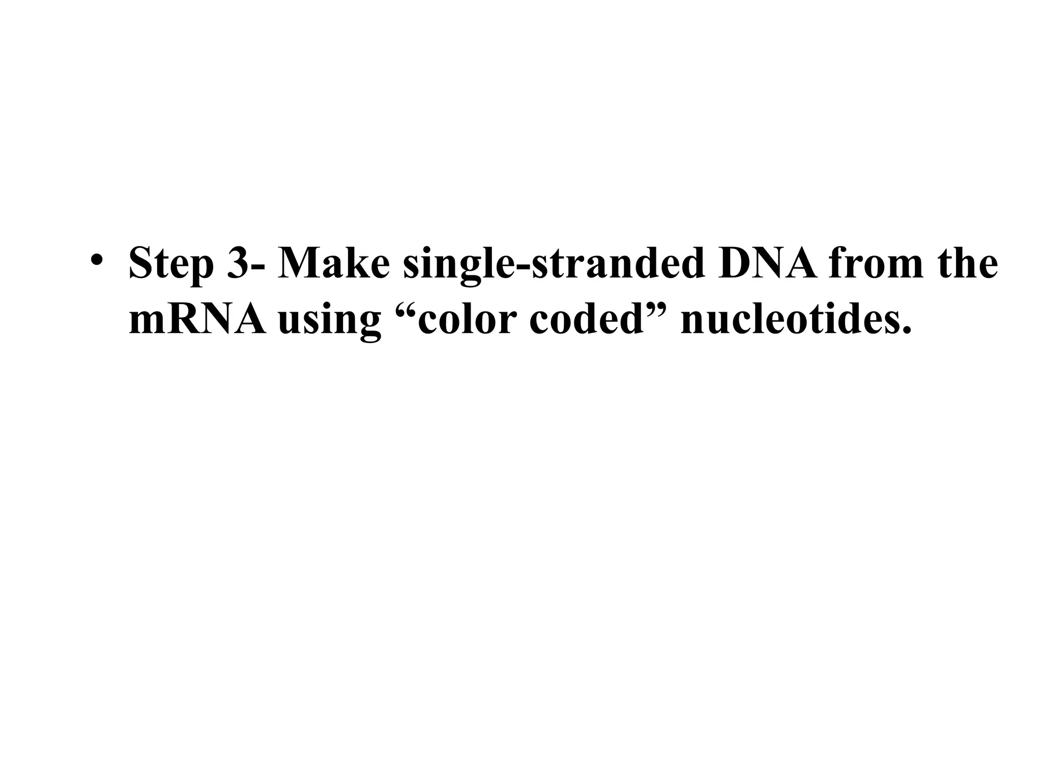 • Step 3- Make single-stranded DNA from the
mRNA using “color coded” nucleotides.

 