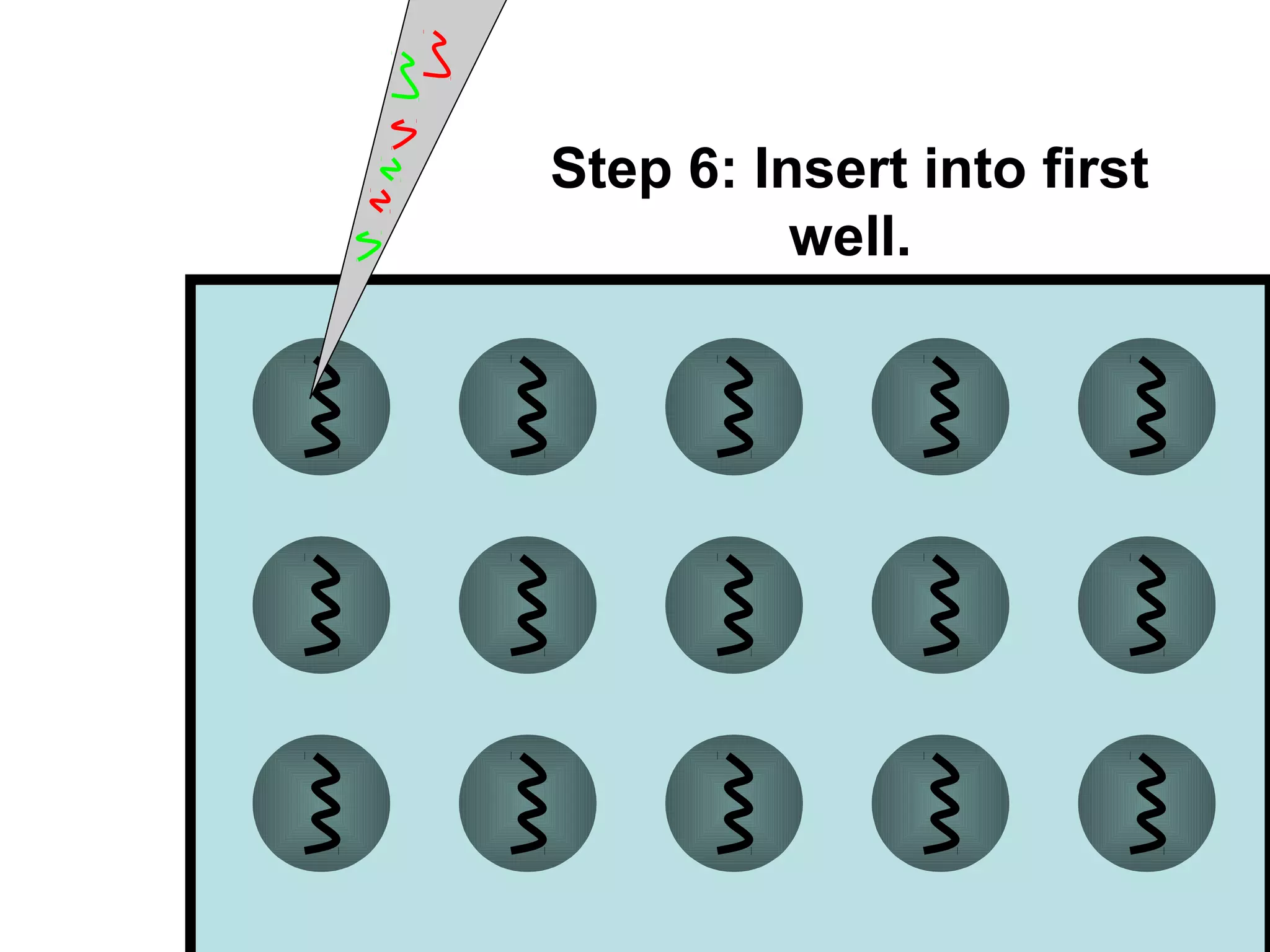 Step 6: Insert into first
well.

 