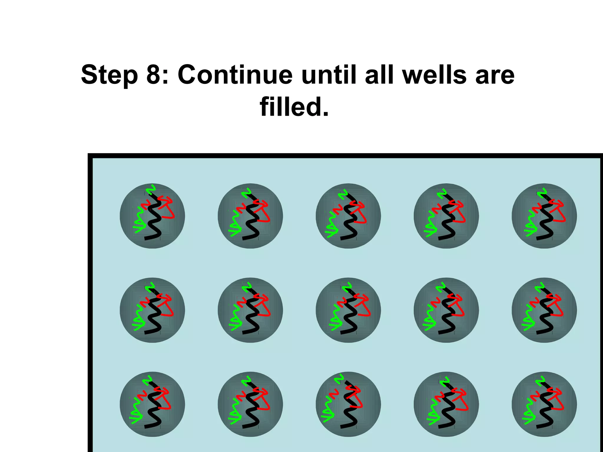 Step 8: Continue until all wells are
filled.

 