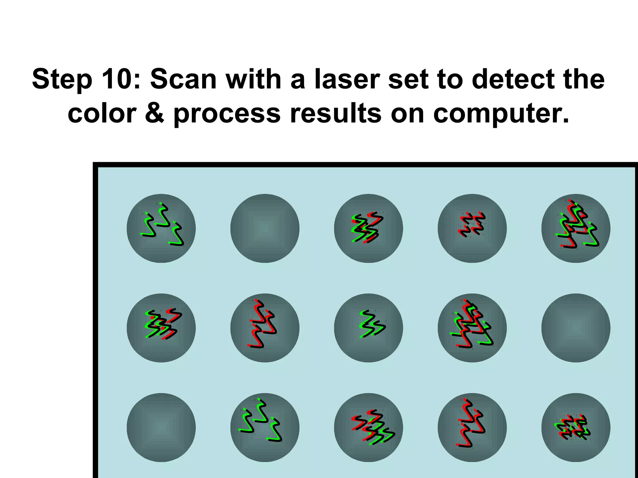 Step 10: Scan with a laser set to detect the
color & process results on computer.

 