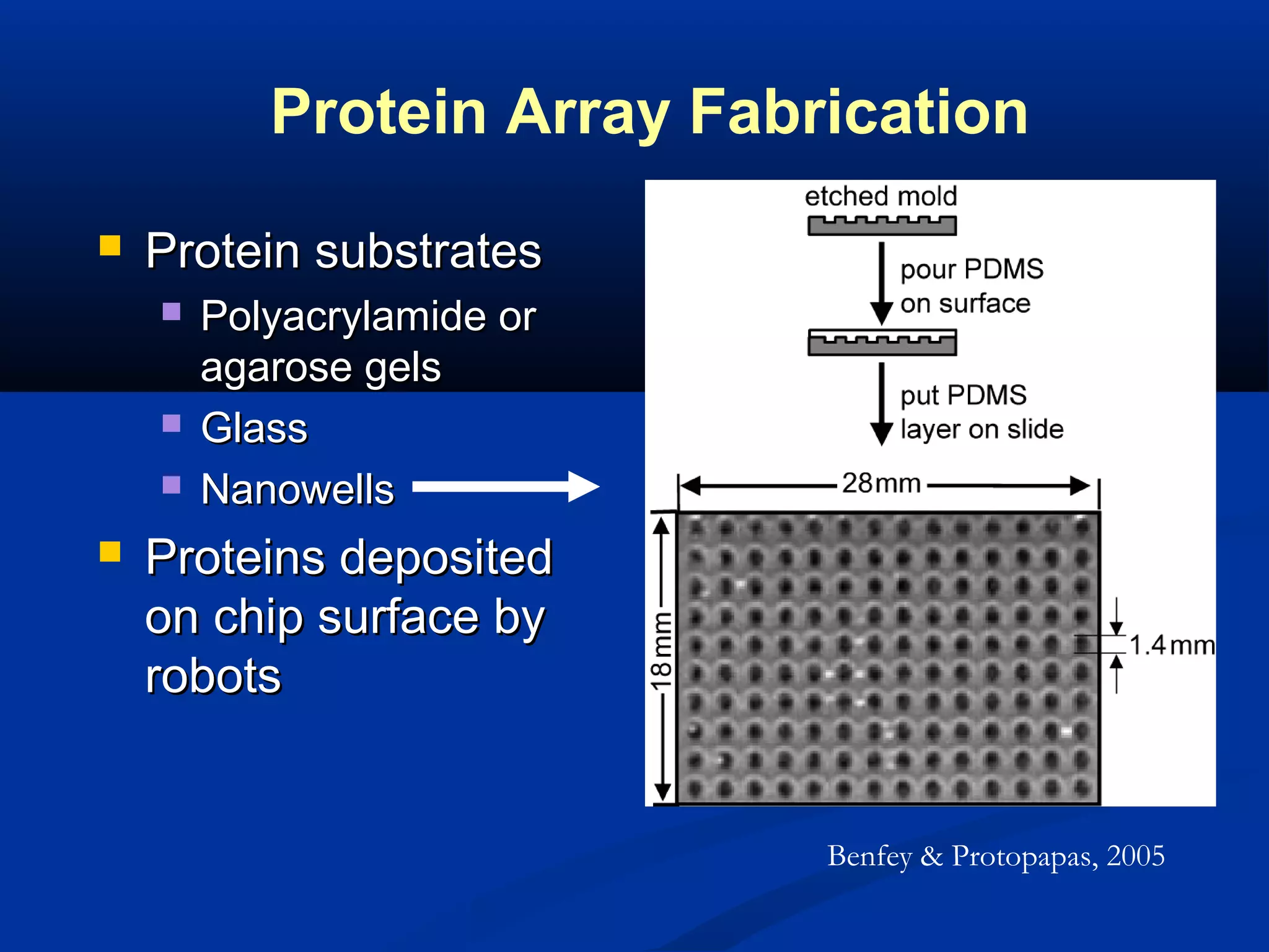 Protein Array Fabrication


Protein substrates







Polyacrylamide or
agarose gels
Glass
Nanowells

Proteins deposited
on chip surface by
robots

Benfey & Protopapas, 2005

 