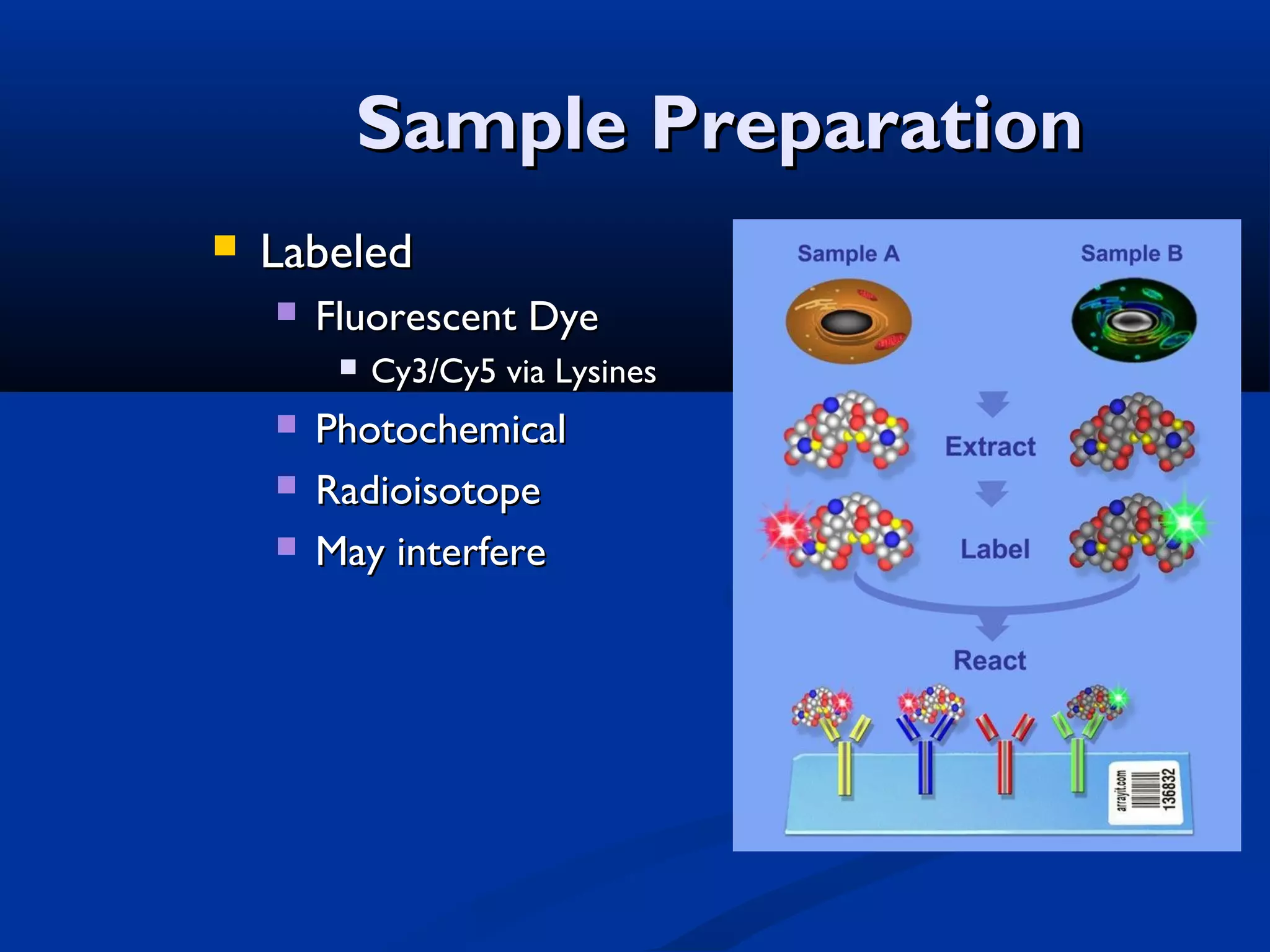 Sample Preparation


Labeled


Fluorescent Dye






Cy3/Cy5 via Lysines

Photochemical
Radioisotope
May interfere

 