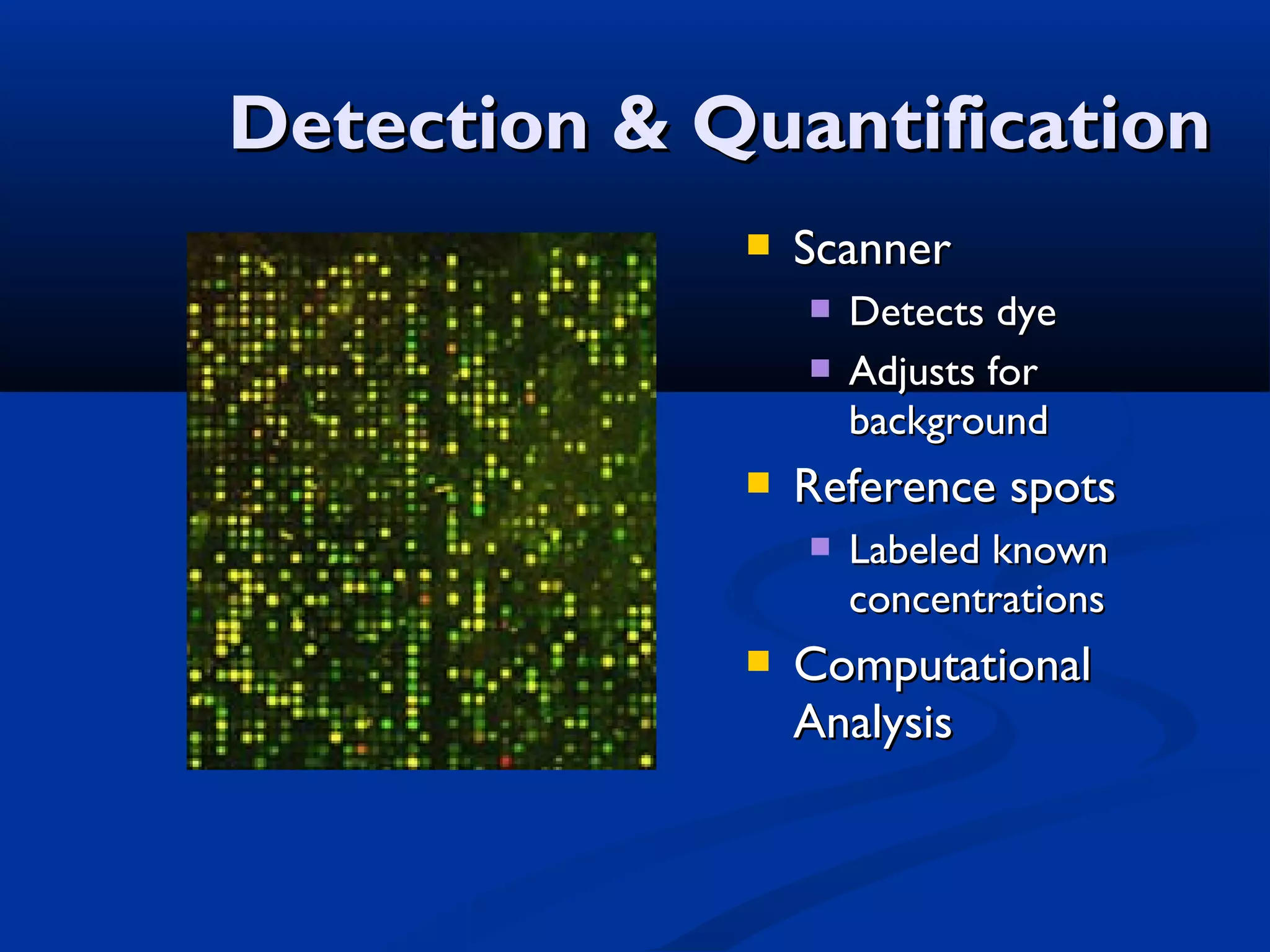 Detection & Quantification


Scanner





Reference spots




Detects dye
Adjusts for
background
Labeled known
concentrations

Computational
Analysis

 