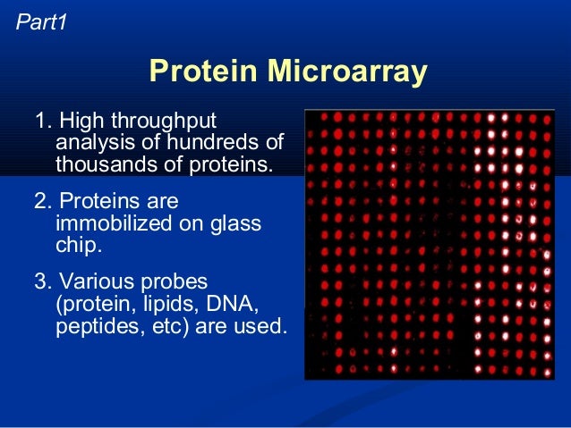 12 arrays protein array