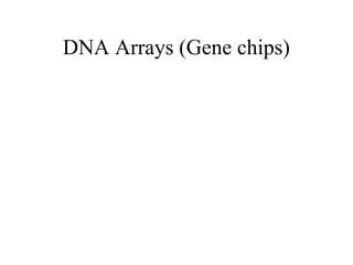 DNA Arrays (Gene chips) 
 