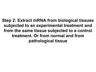 Step 2: Extract mRNA from biological tissues 
subjected to an experimental treatment and 
from the same tissue subjected to a control 
treatment. Or from normal and from 
pathological tissue 
 