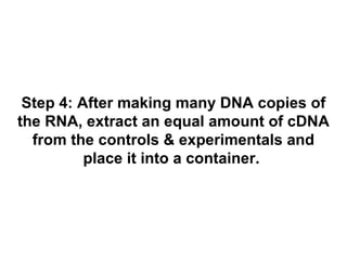 Step 4: After making many DNA copies of 
the RNA, extract an equal amount of cDNA 
from the controls & experimentals and 
place it into a container. 
 