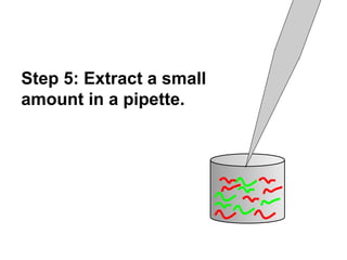 Step 5: Extract a small 
amount in a pipette. 
 