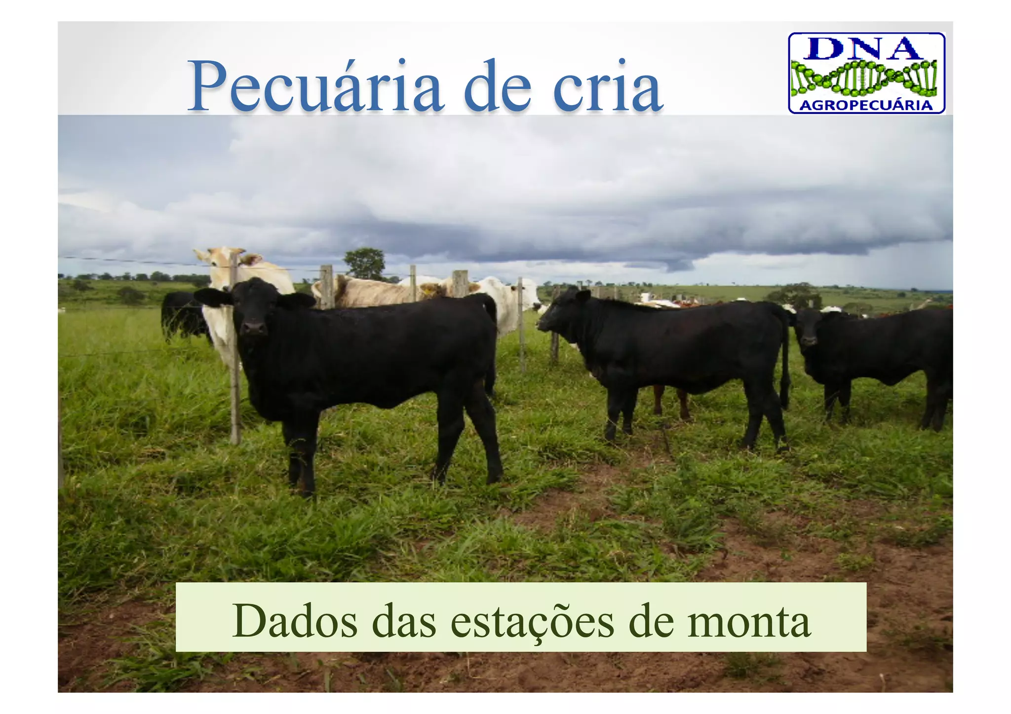 Dados das estações de monta
 