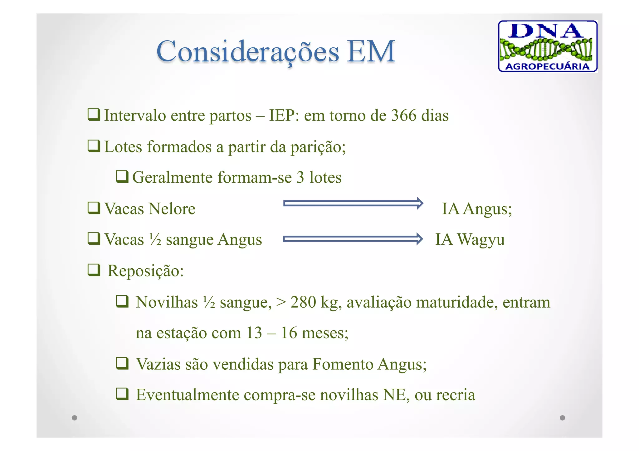  Intervalo entre partos – IEP: em torno de 366 dias
 Lotes formados a partir da parição;
 Geralmente formam-se 3 lotes
 Vacas Nelore IAAngus;
 Vacas ½ sangue Angus IA Wagyu
 Reposição:
 Novilhas ½ sangue, > 280 kg, avaliação maturidade, entram
na estação com 13 – 16 meses;
 Vazias são vendidas para Fomento Angus;
 Eventualmente compra-se novilhas NE, ou recria
 