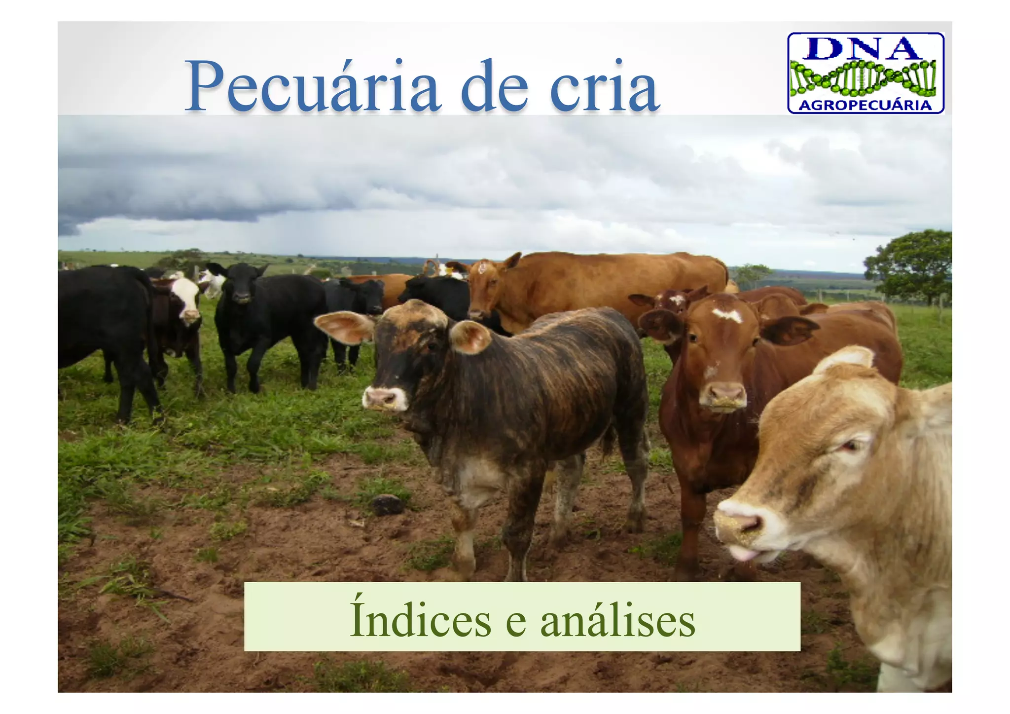 Índices e análises
 