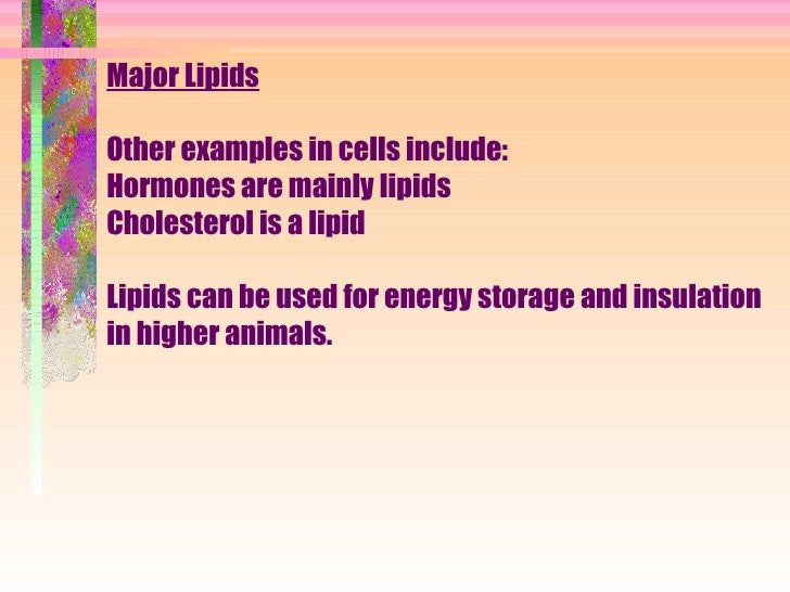 Maltose Would Not Be Converted To Glucose At Room Temperature Maltose Would Not Be Converted To Glucose At Room Temperature