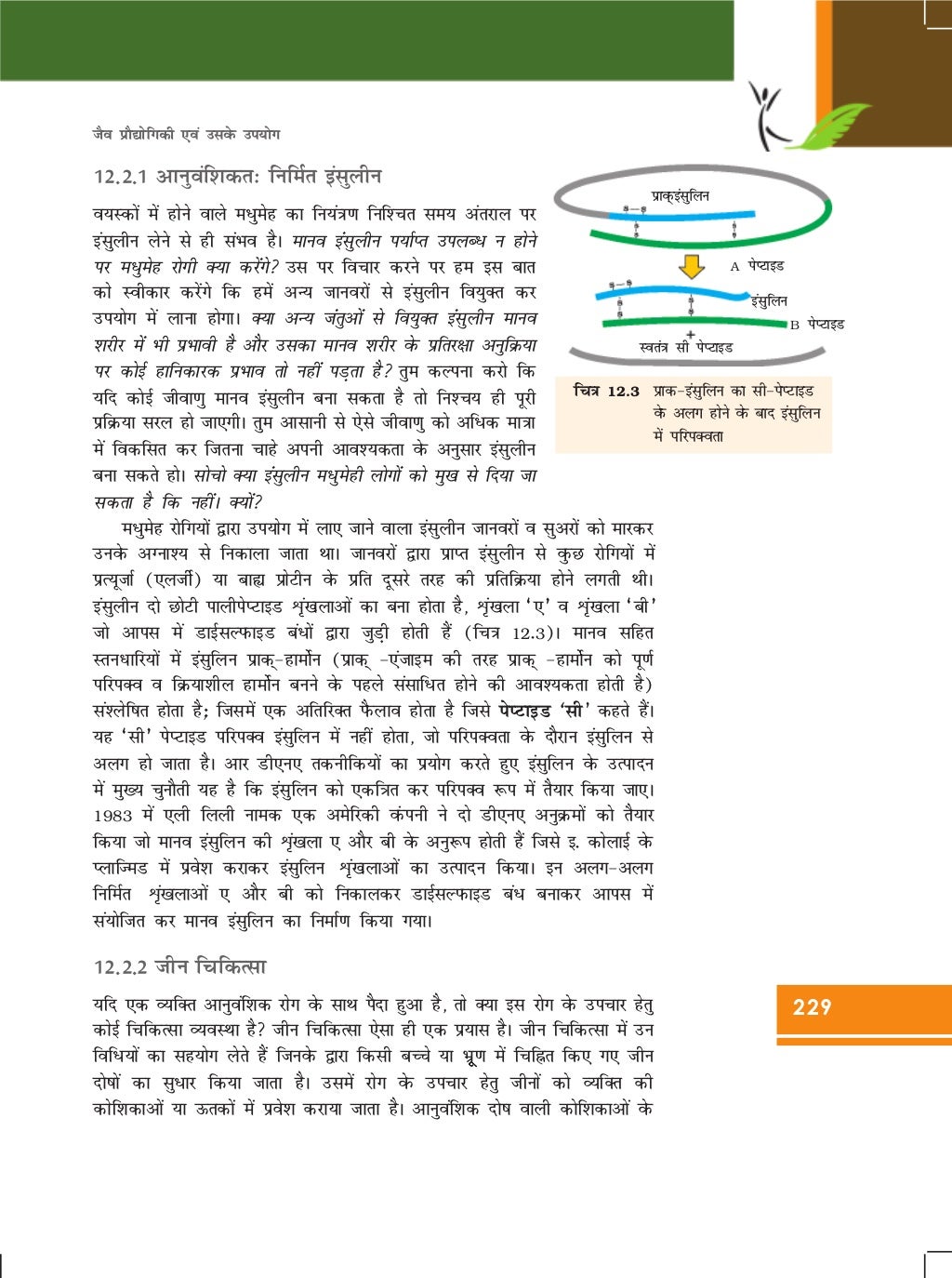 12 biologyncerthindimediumchapter (12)