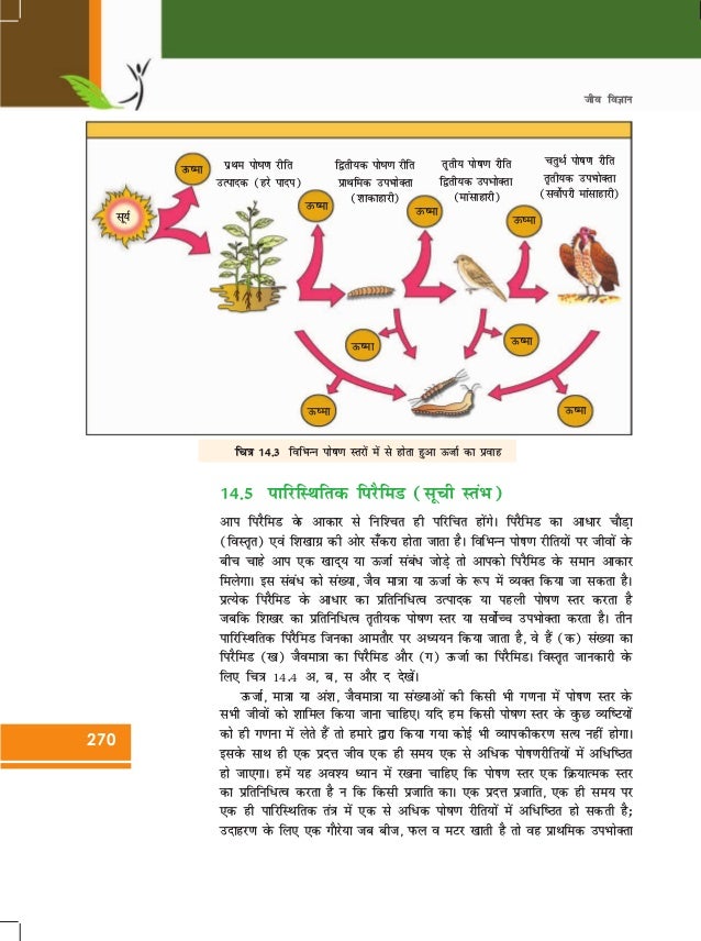 12 biologyncerthindimediumchapter (14)