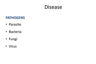 Definition on bloodborne pathogens on workers to their health.ppt