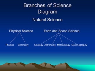 Branches of Science
Diagram
Natural Science
Physical Science Earth and Space Science
Physics Chemistry Geology Astronomy Meteorology Oceanography
 