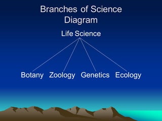 Branches of Science
Diagram
Life Science
Botany Zoology Genetics Ecology
 