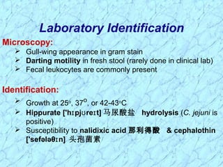 Microscopy:
 Gull-wing appearance in gram stain
 Darting motility in fresh stool (rarely done in clinical lab)
 Fecal leukocytes are commonly present
Identification:
 Growth at 25o
, 37o
, or 42-43o
C
 Hippurate ['h pj re t]ɪ ʊ ɪ 马尿酸盐 hydrolysis (C. jejuni is
positive)
 Susceptibility to nalidixic acid 那利得酸 & cephalothin
['sefələθ n]ɪ 头孢菌素
Laboratory Identification
 
