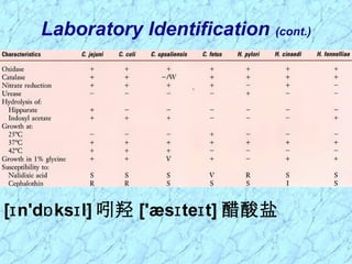 Laboratory Identification (cont.)
[ n'd ks l]ɪ ɒ ɪ 吲羟 ['æs te t]ɪ ɪ 醋酸盐
 