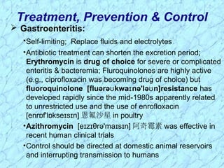  Gastroenteritis:
•Self-limiting; Replace fluids and electrolytes
•Antibiotic treatment can shorten the excretion period;
Erythromycin is drug of choice for severe or complicated
enteritis & bacteremia; Fluroquinolones are highly active
(e.g., ciprofloxacin was becoming drug of choice) but
fluoroquinolone [fluərə kwa nə'lə n]resistanceʊ ɪ ʊ has
developed rapidly since the mid-1980s apparently related
to unrestricted use and the use of enrofloxacin
[enr f'l kse s n]ɒ ɒ ɪ ɪ 恩氟沙星 in poultry
•Azithromycin [e z θrə'ma s n]ɪ ɪ ɪ ɪ 阿奇霉素 was effective in
recent human clinical trials
•Control should be directed at domestic animal reservoirs
and interrupting transmission to humans
Treatment, Prevention & Control
 