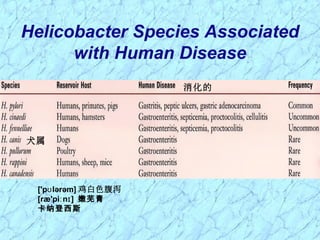 Helicobacter Species Associated
with Human Disease
消化的
犬属
['p lərəm]ʊ 鸡白色腹泻
[ræ'pi n ]ː ɪ 嫩芜青
卡纳登西斯
 