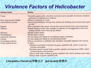 Virulence Factors of Helicobacter
[ ha pəklo r'ha dr ə]ˌ ɪ ʊ ɪ ɪ 胃酸过少 [pə'ra ətəl]ɪ 腔壁的
 