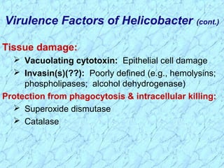 Tissue damage:
 Vacuolating cytotoxin: Epithelial cell damage
 Invasin(s)(??): Poorly defined (e.g., hemolysins;
phospholipases; alcohol dehydrogenase)
Protection from phagocytosis & intracellular killing:
 Superoxide dismutase
 Catalase
Virulence Factors of Helicobacter (cont.)
 