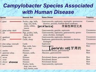 Campylobacter Species Associated
with Human Disease
[pr k'ta t s]ɒ ɪ ɪ 传染性神经元炎
[ periə'd ntl]ˌ ɑː 牙周的
showae
 