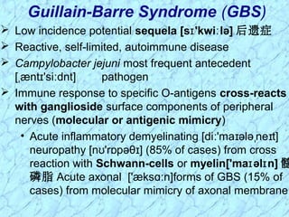 Low incidence potential sequela [s 'kwi lə]ɪ ː 后遗症
 Reactive, self-limited, autoimmune disease
 Campylobacter jejuni most frequent antecedent
[ ænt 'si dnt]ˌ ɪ ː pathogen
 Immune response to specific O-antigens cross-reacts
with ganglioside surface components of peripheral
nerves (molecular or antigenic mimicry)
• Acute inflammatory demyelinating [di 'ma ələ ne t]ː ɪ ˌ ɪ
neuropathy [n 'r pəθ ] (85% of cases) from crossʊ ɒ ɪ
reaction with Schwann-cells or myelin['ma əl n]ɪ ɪ 髓
磷脂 Acute axonal ['æks n]forms of GBS (15% ofɑː
cases) from molecular mimicry of axonal membrane
Guillain-Barre Syndrome (GBS)
 