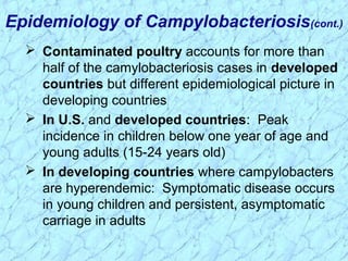  Contaminated poultry accounts for more than
half of the camylobacteriosis cases in developed
countries but different epidemiological picture in
developing countries
 In U.S. and developed countries: Peak
incidence in children below one year of age and
young adults (15-24 years old)
 In developing countries where campylobacters
are hyperendemic: Symptomatic disease occurs
in young children and persistent, asymptomatic
carriage in adults
Epidemiology of Campylobacteriosis(cont.)
 