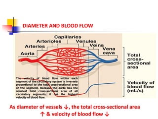 12-Capillary Circulation and physiology. | PDF