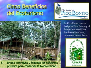 Cinco Beneficios del Ecoturismo 5. Brinda incentivos y fomenta los esfuerzos privados para conservar la biodiversidad . La Ecoalianza entre el Lodge at Pico Bonito y el Parque Nacional Pico Bonito en Honduras, representa este esfuerzo. 