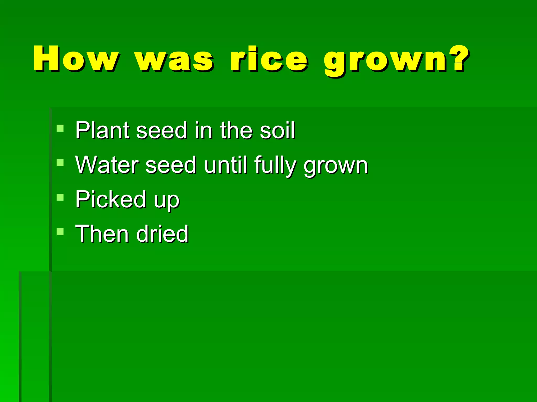 12 Cash Crops From The Thirteen Colonies | PPT