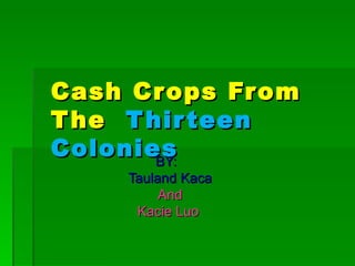 Cash Crops From The   Thirteen Colonies BY:  Tauland Kaca And Kacie Luo  