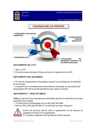 UNIVERSIDAD
DE
PLAYA ANCHA
Facultad de Educación Física
AGOTAMIENTO DE LA PC:
ANA ATP.
En contracciones máximas la fatiga coincide con el agotamiento de la PC.
AGOTAMIENTO DEL GLUCÓGENO:
El ritmo de de agotamiento del glucógeno muscular es controlado por la intensidad
de la actividad.
Un aumento de la intensidad estará directamente relacionado con una disminución
del glucógeno (35 a 40 veces más agotamiento que cuando se camina
AGOTAMIENTO Y TIPOS DE FIBRAS:
Todos los tipos de fibras musculares son movilizados durante la realización de acciones
musculares muy intensas.
ST más activas en inten
Entre el 75% y 90% del VO2 Máx FT se movilizan con mayor
Existe una estrecha relación entre el agotamiento de las re
glucógeno en fibras ST
FT no pueden compensar dicha perdida
CATEDRA: FISIOLOGÍA DEL EJERCICIO
Prof. Lic. Mg. Sebastián Aguilar G.
Facultad de Educación Física
AGOTAMIENTO DE LA PC:
En contracciones máximas la fatiga coincide con el agotamiento de la PC.
AGOTAMIENTO DEL GLUCÓGENO:
El ritmo de de agotamiento del glucógeno muscular es controlado por la intensidad
Un aumento de la intensidad estará directamente relacionado con una disminución
35 a 40 veces más agotamiento que cuando se camina
ENTO Y TIPOS DE FIBRAS:
los tipos de fibras musculares son movilizados durante la realización de acciones
nsidades entre el 40 y 60% VO2 Máx.
Entre el 75% y 90% del VO2 Máx FT se movilizan con mayor frecuencia.
estrecha relación entre el agotamiento de las re
glucógeno en fibras ST y el agotamiento.
pueden compensar dicha perdida de tensión muscular.
CATEDRA: FISIOLOGÍA DEL EJERCICIO
Prof. Lic. Mg. Sebastián Aguilar G.
Valparaíso, Chile.
En contracciones máximas la fatiga coincide con el agotamiento de la PC.
El ritmo de de agotamiento del glucógeno muscular es controlado por la intensidad
Un aumento de la intensidad estará directamente relacionado con una disminución
35 a 40 veces más agotamiento que cuando se camina).
los tipos de fibras musculares son movilizados durante la realización de acciones
frecuencia.
estrecha relación entre el agotamiento de las reservas de
de tensión muscular.
 