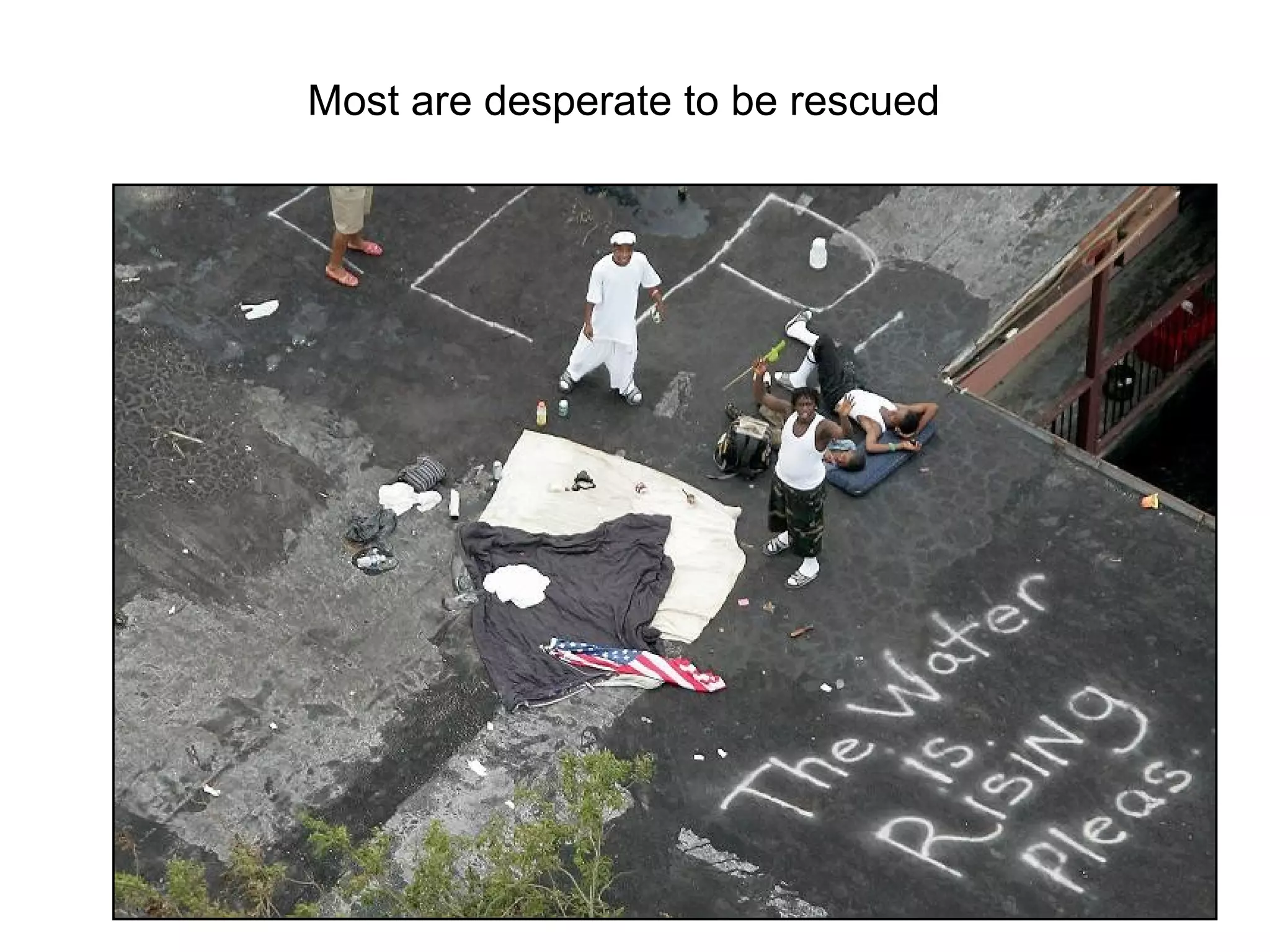 Most are desperate to be rescued
 