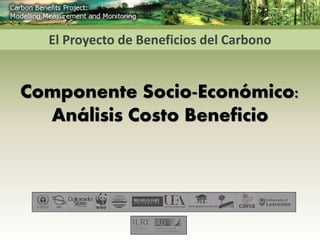El Proyecto de Beneficios del Carbono
Componente Socio-Económico:
Análisis Costo Beneficio
 