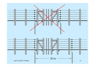 20 m
José Osvaldo S. Paulino          15
 