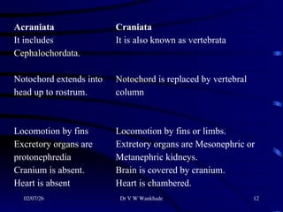 Classical Zoology - Animal kingdom : Chordata class | PPT