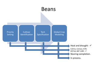 Beans
Priority
Setting
Cultivar
Identification
Tech
Specification
Global Crop
Modeling
Heat and drought - 
Calima, Carioc...