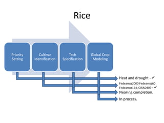 Rice
Priority
Setting
Cultivar
Identification
Tech
Specification
Global Crop
Modeling
Heat and drought - 
Fedearroz2000 F...