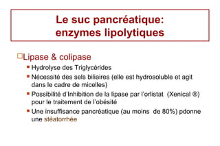 Le suc pancréatique:
            enzymes lipolytiques

Lipase    & colipase
   Hydrolyse des Triglycérides
   Nécessité des sels biliaires (elle est hydrosoluble et agit

    dans le cadre de micelles)
   Possibilité d’Inhibition de la lipase par l’orlistat (Xenical ®)

    pour le traitement de l’obésité
   Une insuffisance pancréatique (au moins de 80%) pdonne

    une stéatorrhée
 