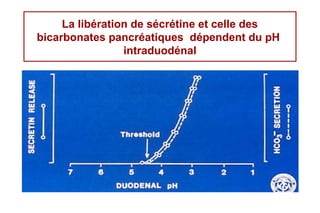 La libération de sécrétine et celle des
bicarbonates pancréatiques dépendent du pH
                 intraduodénal
 