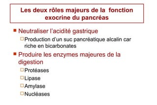 Les deux rôles majeurs de la fonction
           exocrine du pancréas
   Neutraliser l’acidité gastrique
     Production  d’un suc pancréatique alcalin car
      riche en bicarbonates
   Produire les enzymes majeures de la
    digestion
     Protéases
     Lipase
     Amylase
     Nucléases
 