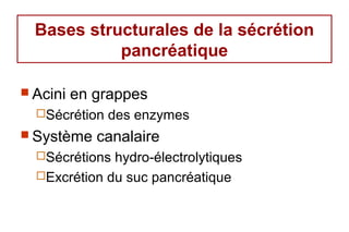 Bases structurales de la sécrétion
            pancréatique

 Acini   en grappes
  Sécrétion   des enzymes
 Système    canalaire
  Sécrétions hydro-électrolytiques
  Excrétion du suc pancréatique
 