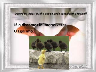 Dentre os vícios, qual o que se pode considerar o radical? Já o dissemos inúmeras vezes:  O Egoísmo.  